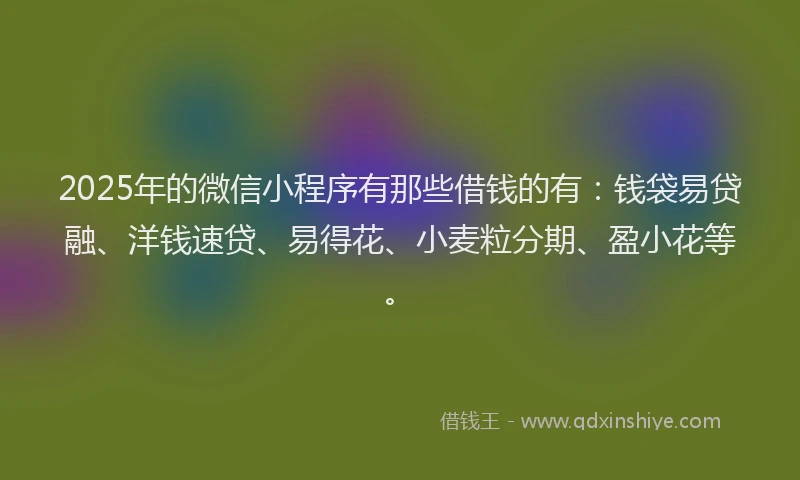 2025年的微信小程序有那些借钱的有：钱袋易贷融、洋钱速贷、易得花、小麦粒分期、盈小花等。