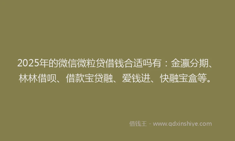 2025年的微信微粒贷借钱合适吗有：金瀛分期、林林借呗、借款宝贷融、爱钱进、快融宝盒等。