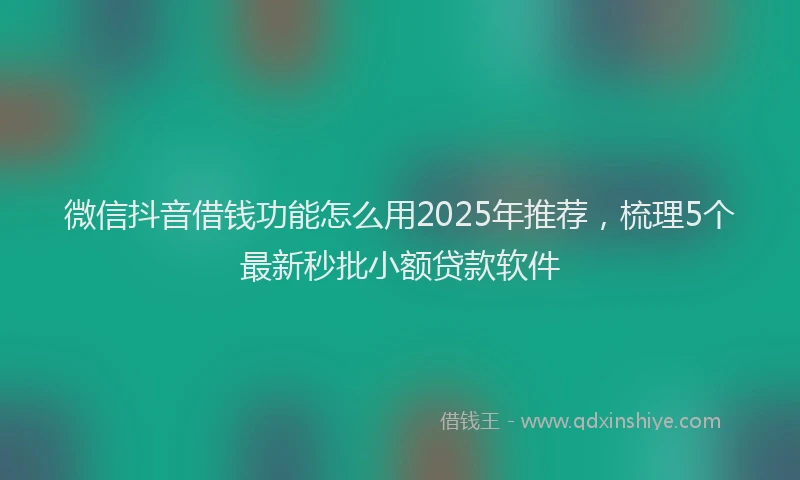 微信抖音借钱功能怎么用2025年推荐，梳理5个最新秒批小额贷款软件