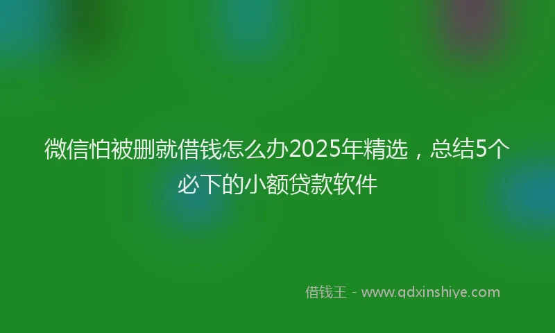 微信怕被删就借钱怎么办2025年精选，总结5个必下的小额贷款软件