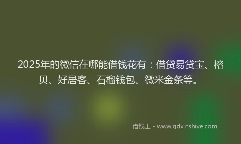 2025年的微信在哪能借钱花有：借贷易贷宝、榕贝、好居客、石榴钱包、微米金条等。