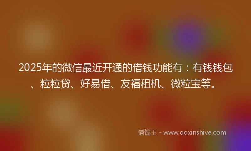 2025年的微信最近开通的借钱功能有：有钱钱包、粒粒贷、好易借、友福租机、微粒宝等。
