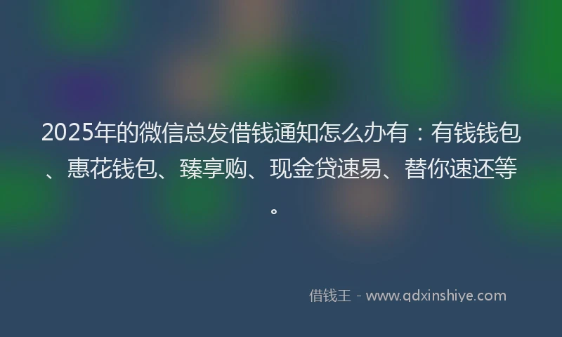 2025年的微信总发借钱通知怎么办有：有钱钱包、惠花钱包、臻享购、现金贷速易、替你速还等。