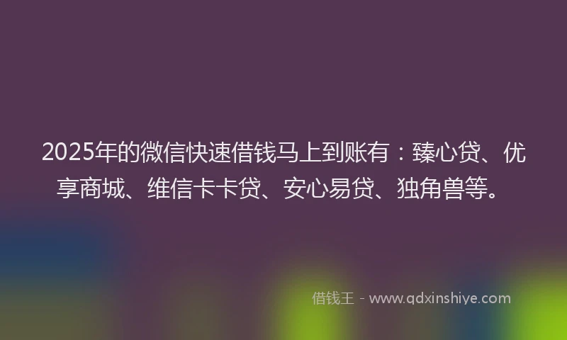 2025年的微信快速借钱马上到账有：臻心贷、优享商城、维信卡卡贷、安心易贷、独角兽等。