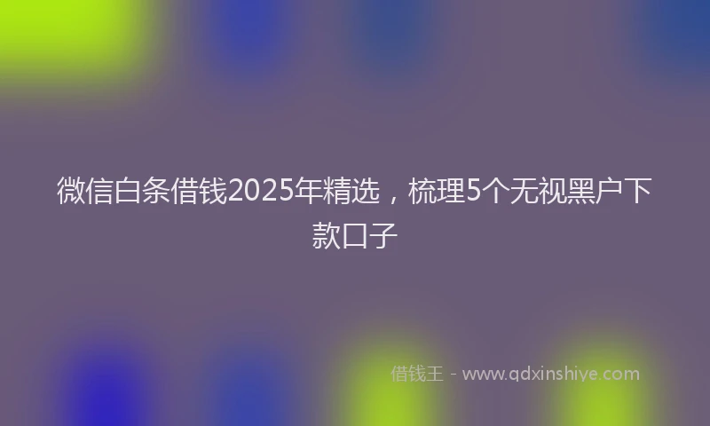 微信白条借钱2025年精选，梳理5个无视黑户下款口子