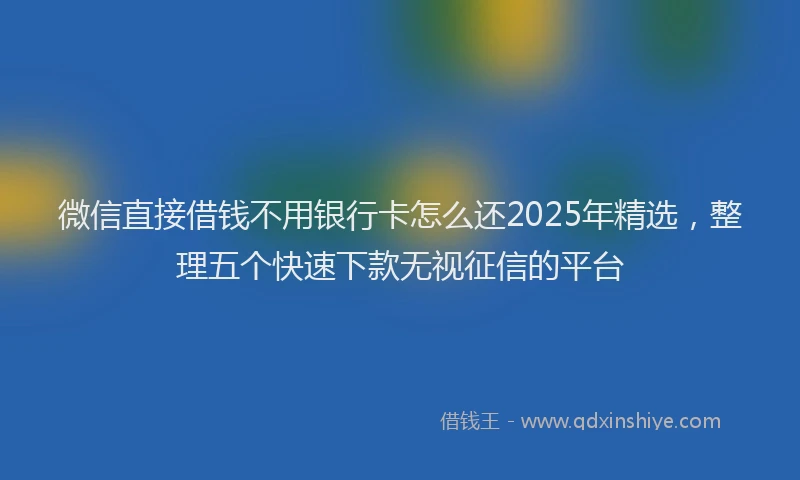 微信直接借钱不用银行卡怎么还2025年精选，整理五个快速下款无视征信的平台