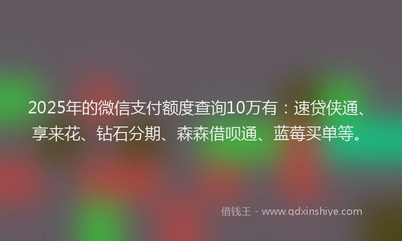 2025年的微信支付额度查询10万有：速贷侠通、享来花、钻石分期、森森借呗通、蓝莓买单等。