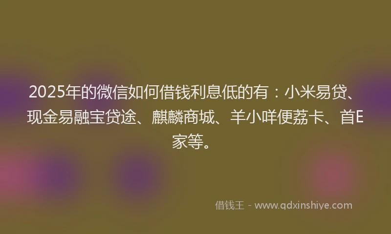 2025年的微信如何借钱利息低的有：小米易贷、现金易融宝贷途、麒麟商城、羊小咩便荔卡、首E家等。