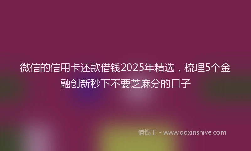 微信的信用卡还款借钱2025年精选，梳理5个金融创新秒下不要芝麻分的口子