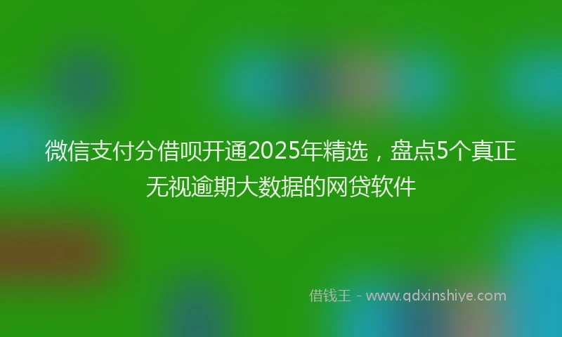 微信支付分借呗开通2025年精选，盘点5个真正无视逾期大数据的网贷软件