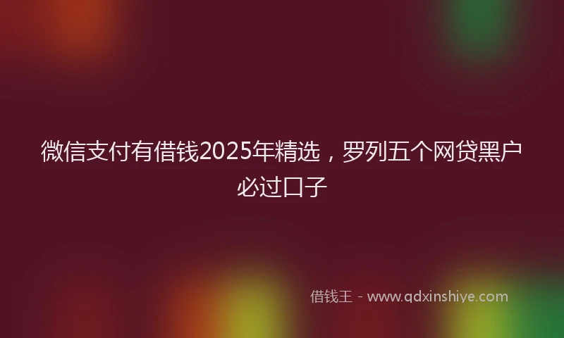 微信支付有借钱2025年精选，罗列五个网贷黑户必过口子