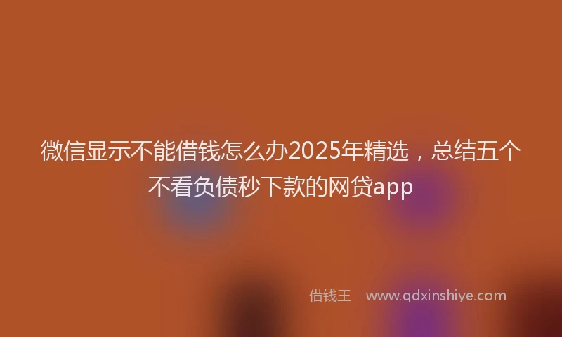 微信显示不能借钱怎么办2025年精选，总结五个不看负债秒下款的网贷app