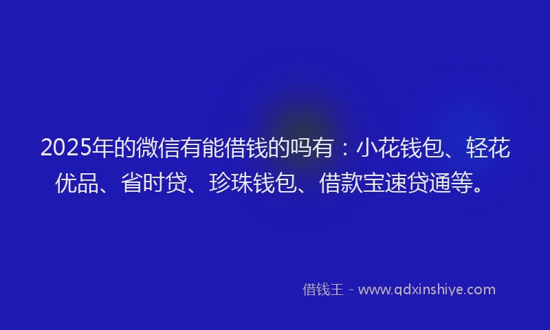2025年的微信有能借钱的吗有：小花钱包、轻花优品、省时贷、珍珠钱包、借款宝速贷通等。