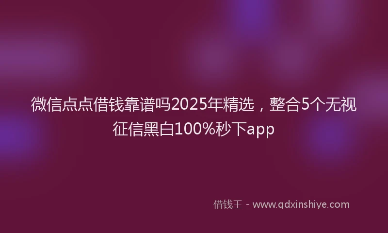 微信点点借钱靠谱吗2025年精选，整合5个无视征信黑白100%秒下app