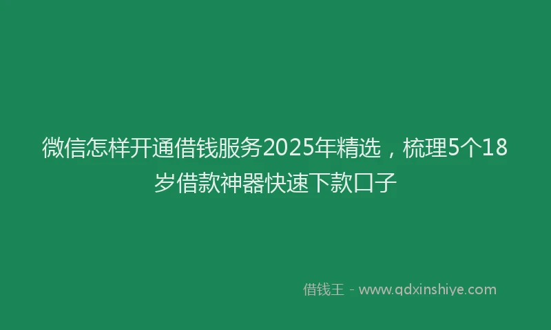 微信怎样开通借钱服务2025年精选，梳理5个18岁借款神器快速下款口子