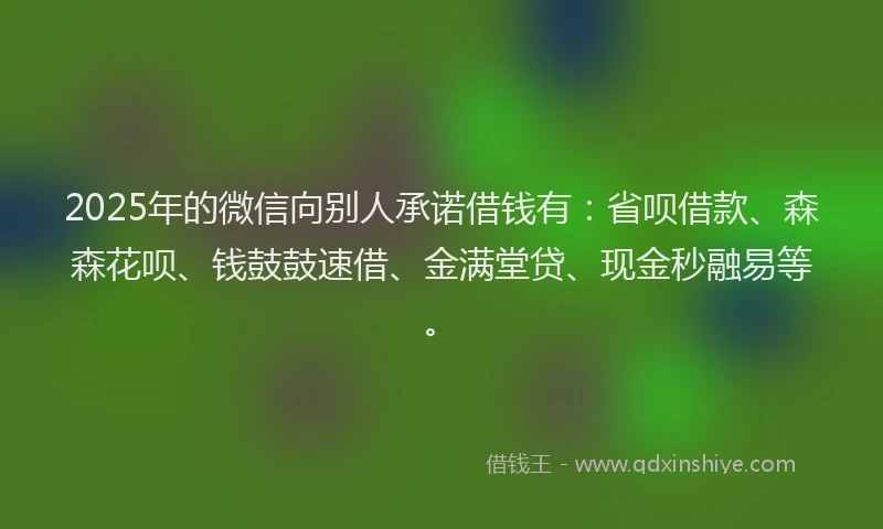 2025年的微信向别人承诺借钱有:省呗借款、森森花呗、钱鼓鼓速借、金满堂贷、现金秒融易等。
