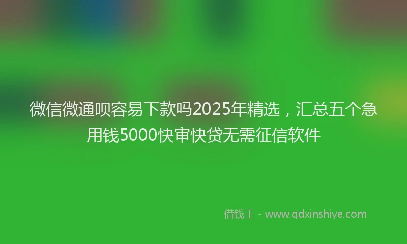 微信微通呗容易下款吗2025年精选，汇总五个急用钱5000快审快贷无需征信软件