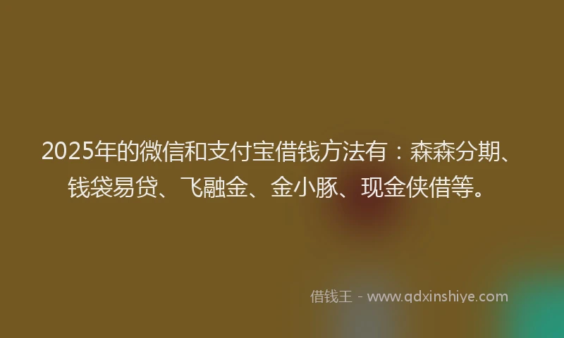 2025年的微信和支付宝借钱方法有：森森分期、钱袋易贷、飞融金、金小豚、现金侠借等。