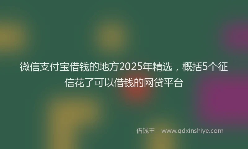 微信支付宝借钱的地方2025年精选，概括5个征信花了可以借钱的网贷平台