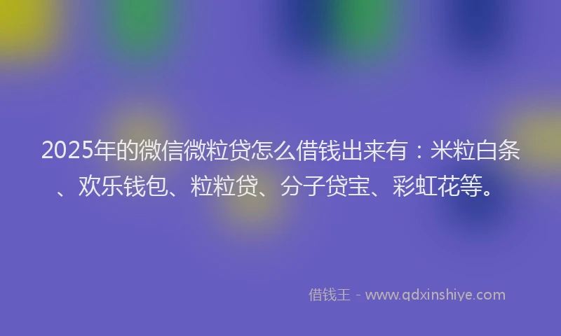 2025年的微信微粒贷怎么借钱出来有：米粒白条、欢乐钱包、粒粒贷、分子贷宝、彩虹花等。