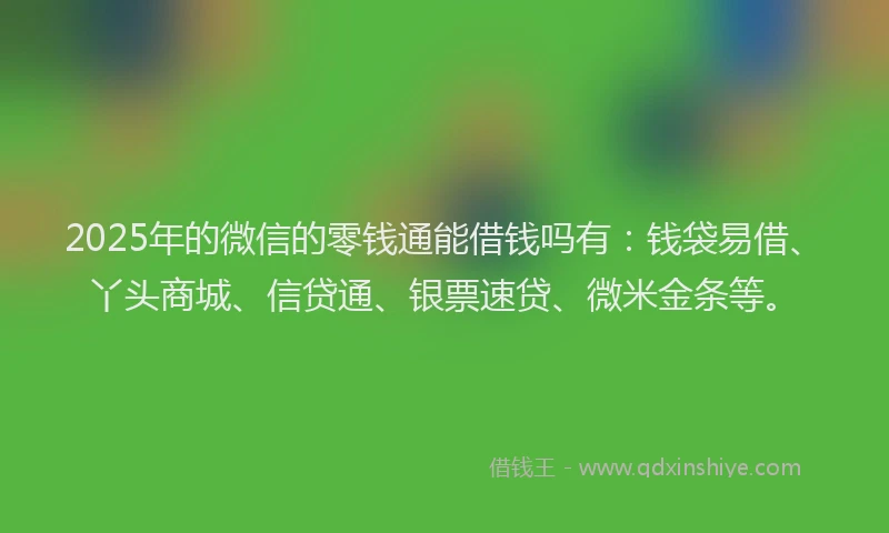 2025年的微信的零钱通能借钱吗有：钱袋易借、丫头商城、信贷通、银票速贷、微米金条等。