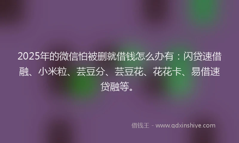 2025年的微信怕被删就借钱怎么办有：闪贷速借融、小米粒、芸豆分、芸豆花、花花卡、易借速贷融等。