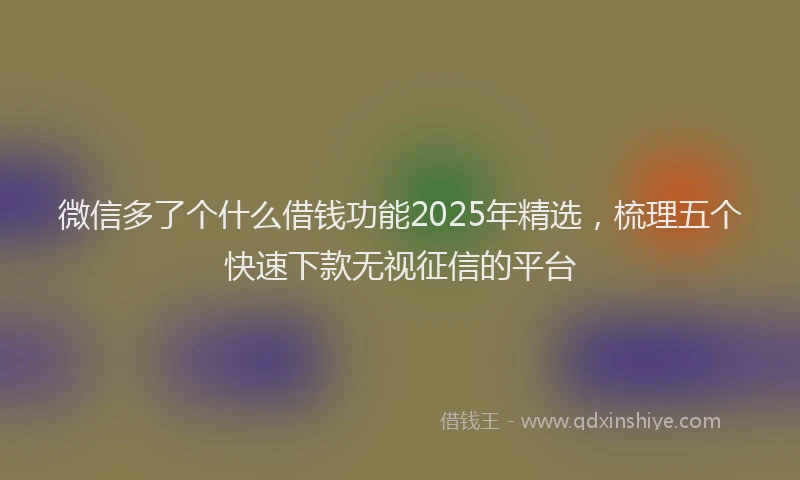 微信多了个什么借钱功能2025年精选，梳理五个快速下款无视征信的平台