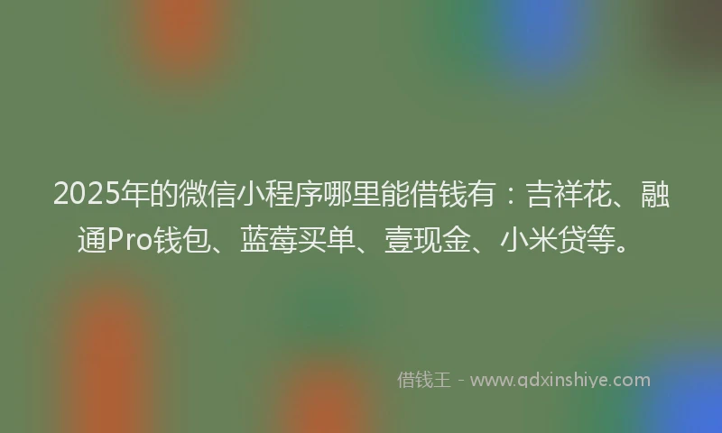 2025年的微信小程序哪里能借钱有：吉祥花、融通Pro钱包、蓝莓买单、壹现金、小米贷等。