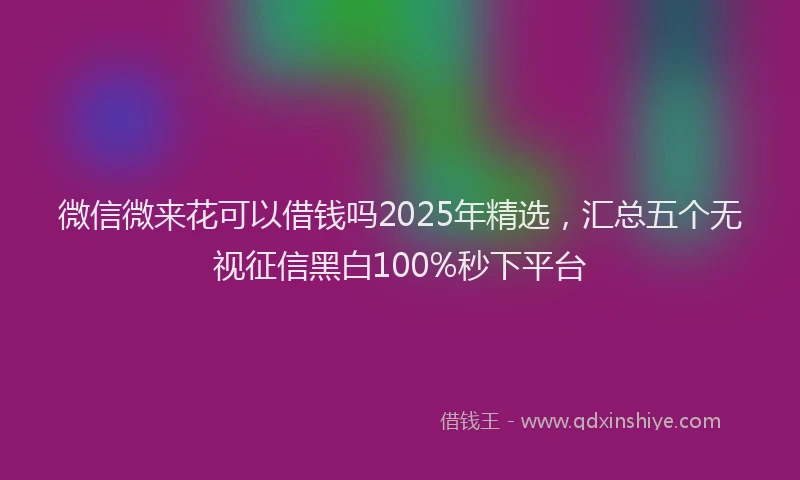 微信微来花可以借钱吗2025年精选，汇总五个无视征信黑白100%秒下平台