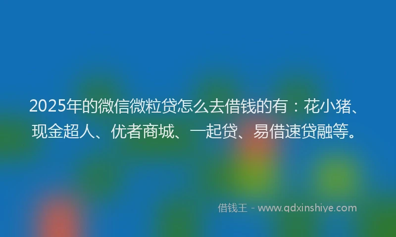 2025年的微信微粒贷怎么去借钱的有：花小猪、现金超人、优者商城、一起贷、易借速贷融等。
