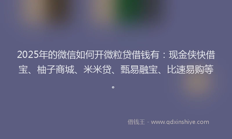 2025年的微信如何开微粒贷借钱有：现金侠快借宝、柚子商城、米米贷、甄易融宝、比速易购等。