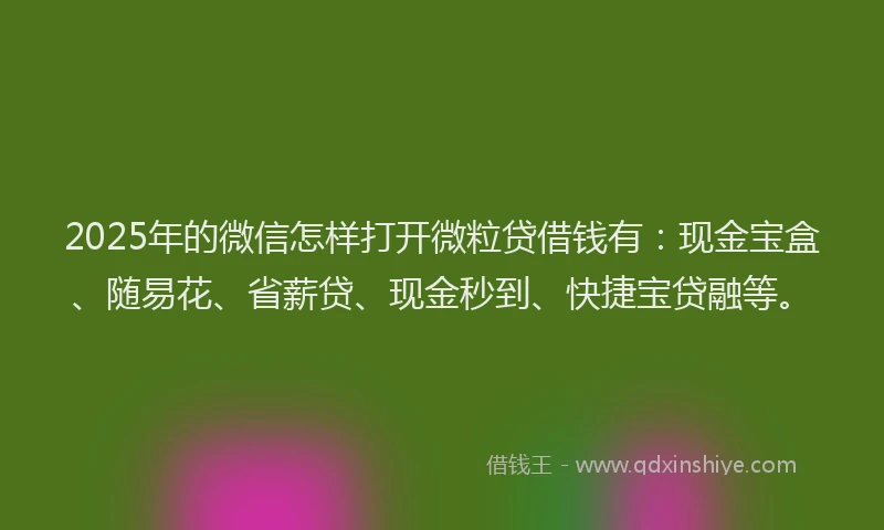 2025年的微信怎样打开微粒贷借钱有：现金宝盒、随易花、省薪贷、现金秒到、快捷宝贷融等。
