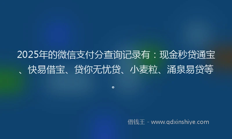 2025年的微信支付分查询记录有：现金秒贷通宝、快易借宝、贷你无忧贷、小麦粒、涌泉易贷等。