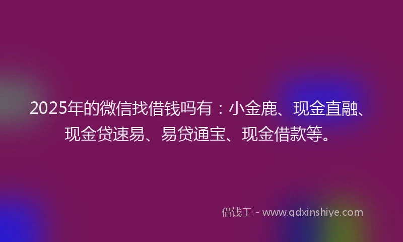 2025年的微信找借钱吗有：小金鹿、现金直融、现金贷速易、易贷通宝、现金借款等。