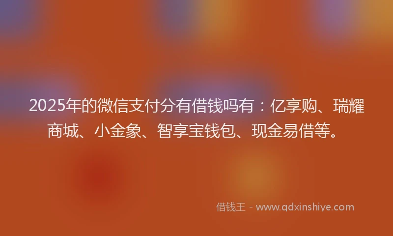 2025年的微信支付分有借钱吗有：亿享购、瑞耀商城、小金象、智享宝钱包、现金易借等。