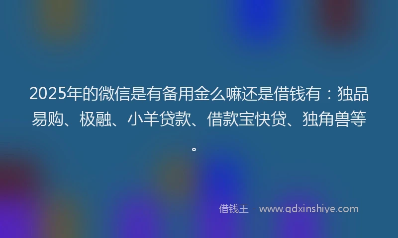 2025年的微信是有备用金么嘛还是借钱有：独品易购、极融、小羊贷款、借款宝快贷、独角兽等。