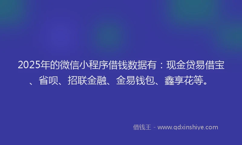 2025年的微信小程序借钱数据有：现金贷易借宝、省呗、招联金融、金易钱包、鑫享花等。