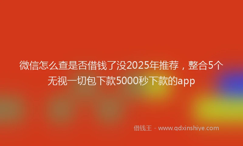 微信怎么查是否借钱了没2025年推荐，整合5个无视一切包下款5000秒下款的app