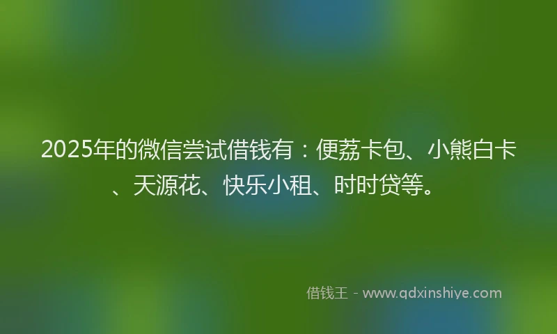 2025年的微信尝试借钱有：便荔卡包、小熊白卡、天源花、快乐小租、时时贷等。