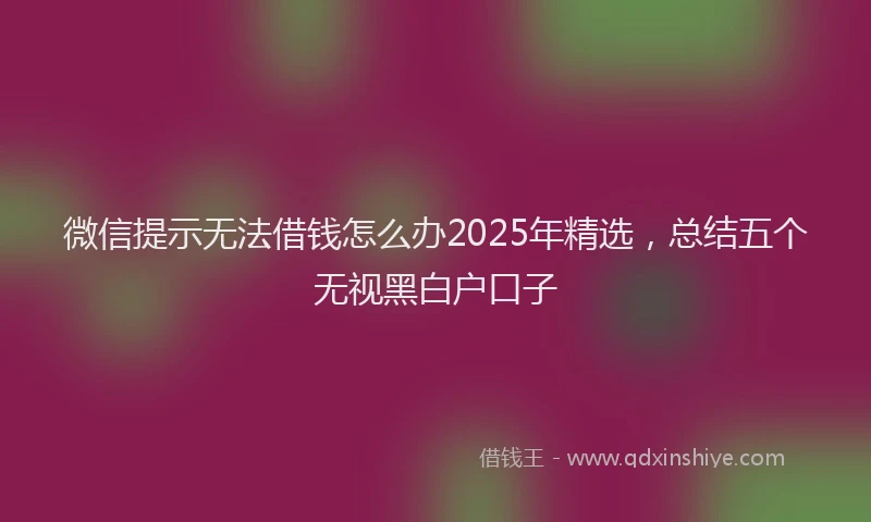 微信提示无法借钱怎么办2025年精选，总结五个无视黑白户口子