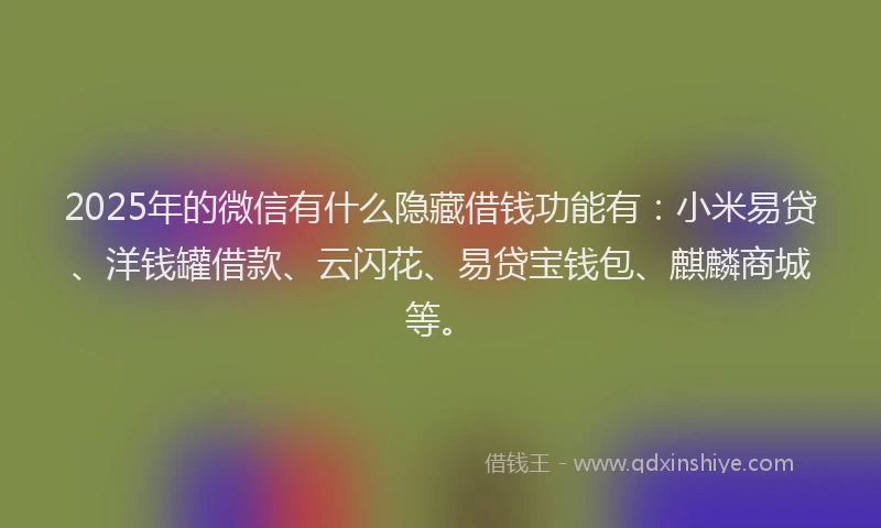 2025年的微信有什么隐藏借钱功能有：小米易贷、洋钱罐借款、云闪花、易贷宝钱包、麒麟商城等。