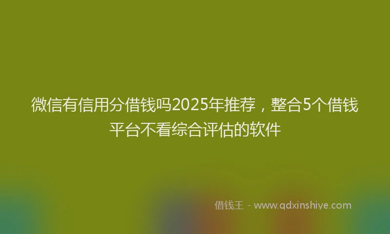 微信有信用分借钱吗2025年推荐，整合5个借钱平台不看综合评估的软件