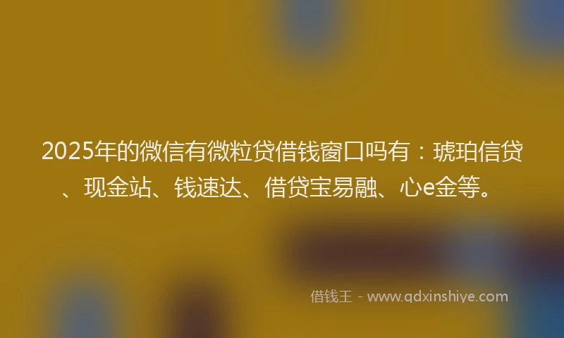 2025年的微信有微粒贷借钱窗口吗有：琥珀信贷、现金站、钱速达、借贷宝易融、心e金等。