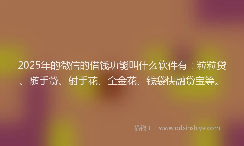 2025年的微信的借钱功能叫什么软件有：粒粒贷、随手贷、射手花、全金花、钱袋快融贷宝等。