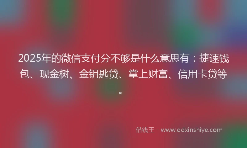 2025年的微信支付分不够是什么意思有：捷速钱包、现金树、金钥匙贷、掌上财富、信用卡贷等。