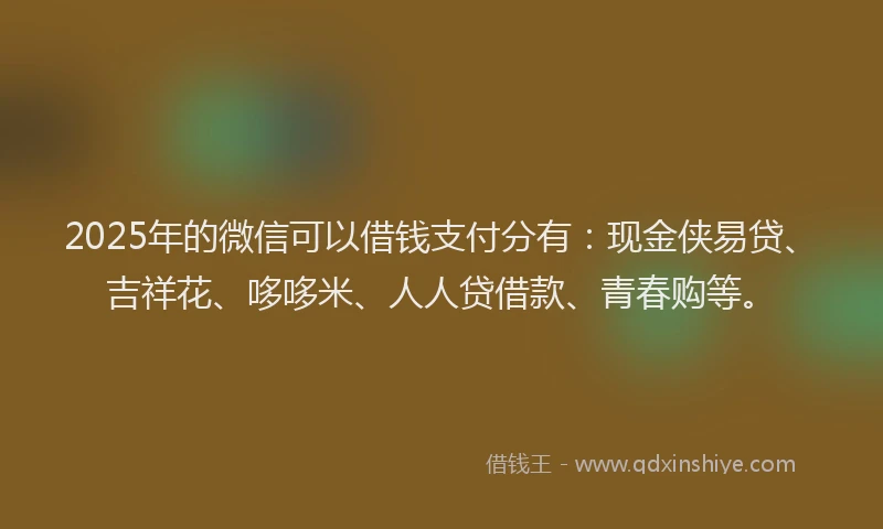 2025年的微信可以借钱支付分有：现金侠易贷、吉祥花、哆哆米、人人贷借款、青春购等。