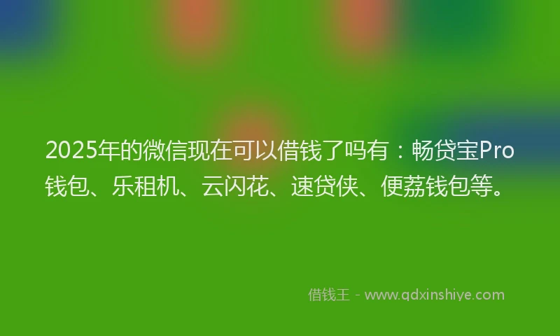2025年的微信现在可以借钱了吗有：畅贷宝Pro钱包、乐租机、云闪花、速贷侠、便荔钱包等。