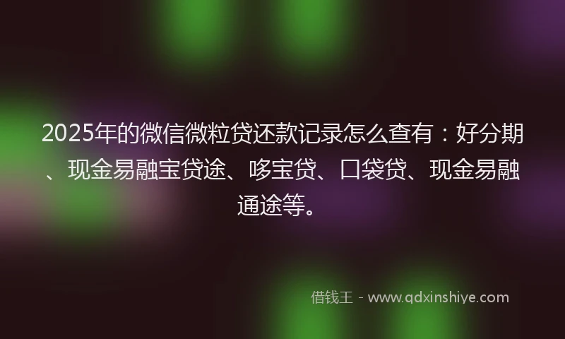 2025年的微信微粒贷还款记录怎么查有：好分期、现金易融宝贷途、哆宝贷、口袋贷、现金易融通途等。
