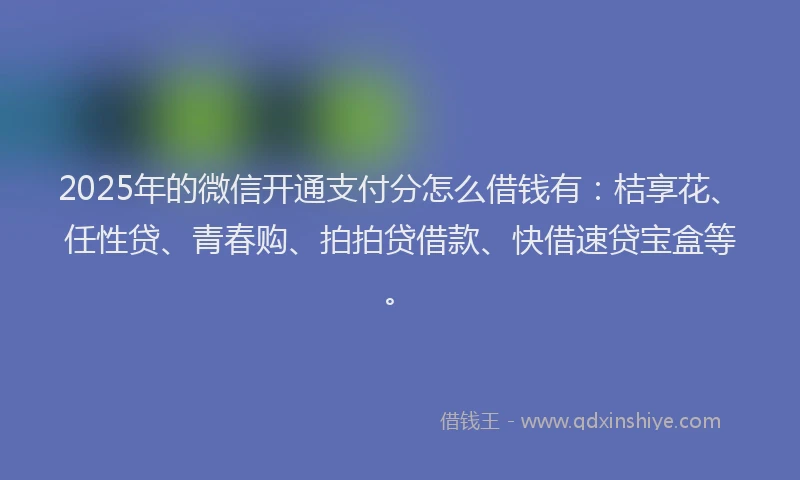 2025年的微信开通支付分怎么借钱有：桔享花、任性贷、青春购、拍拍贷借款、快借速贷宝盒等。