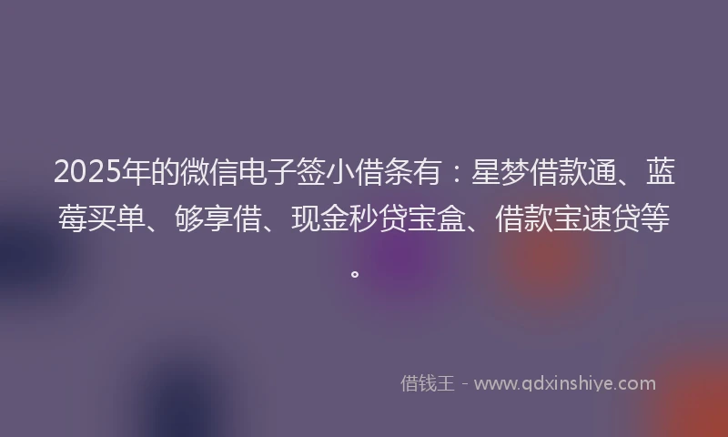 2025年的微信电子签小借条有：星梦借款通、蓝莓买单、够享借、现金秒贷宝盒、借款宝速贷等。